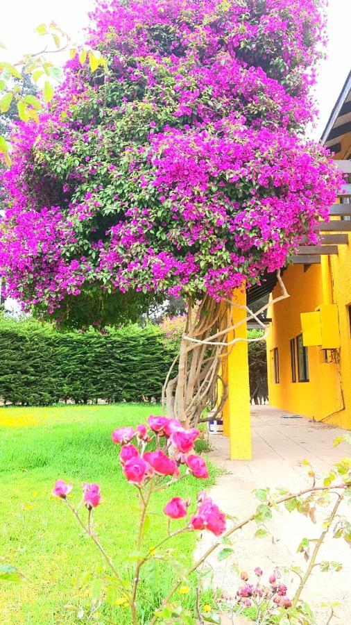Casa Felice La Serena Exterior photo